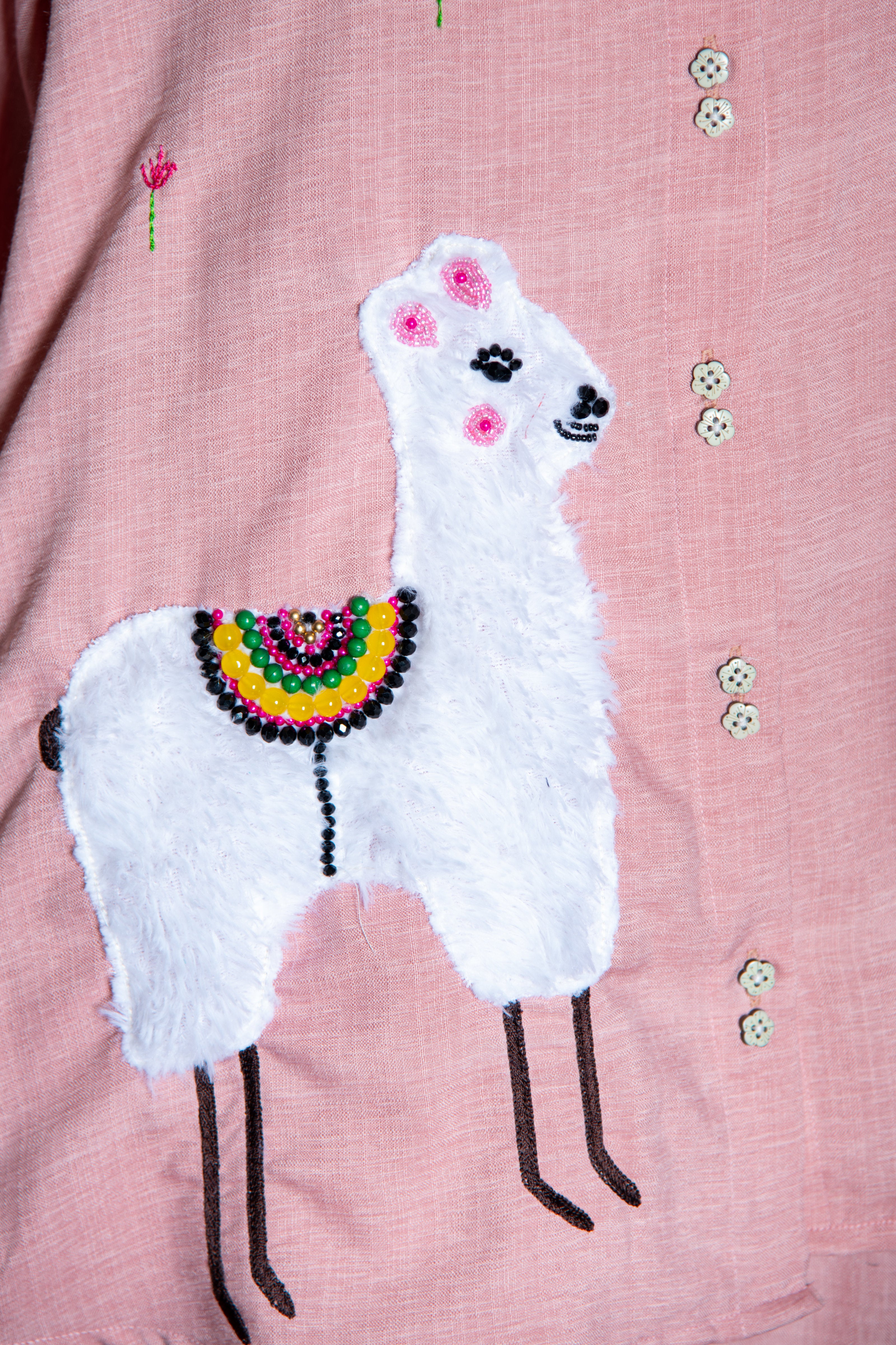 Pink Cotton Co-Ord with Lama Embroidery